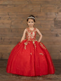 LA Merchandise LAZSCK321 Girls Sequin Applique V-Neck Glitter Tulle A-Line Gown - Red - Girls Formal Dresses LAZ