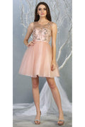 La Merchandise LA1803 Sleeveless A-Line Short Mesh Homecoming Dress - BLUSH - LA Merchandise