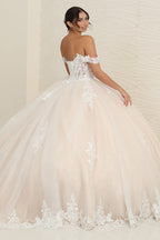 LA Merchandise LA253B Ivory/Nude Floral Bridal Ball Gown - - LA Merchandise