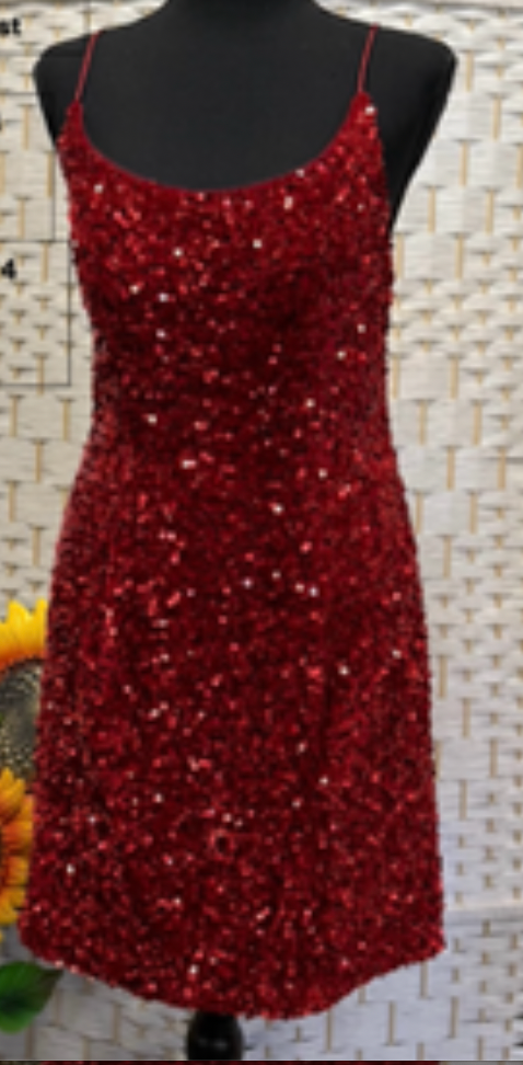 Holiday Gown